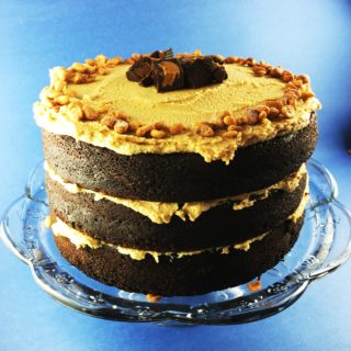 Best Chocolate Peanut Butter Cake