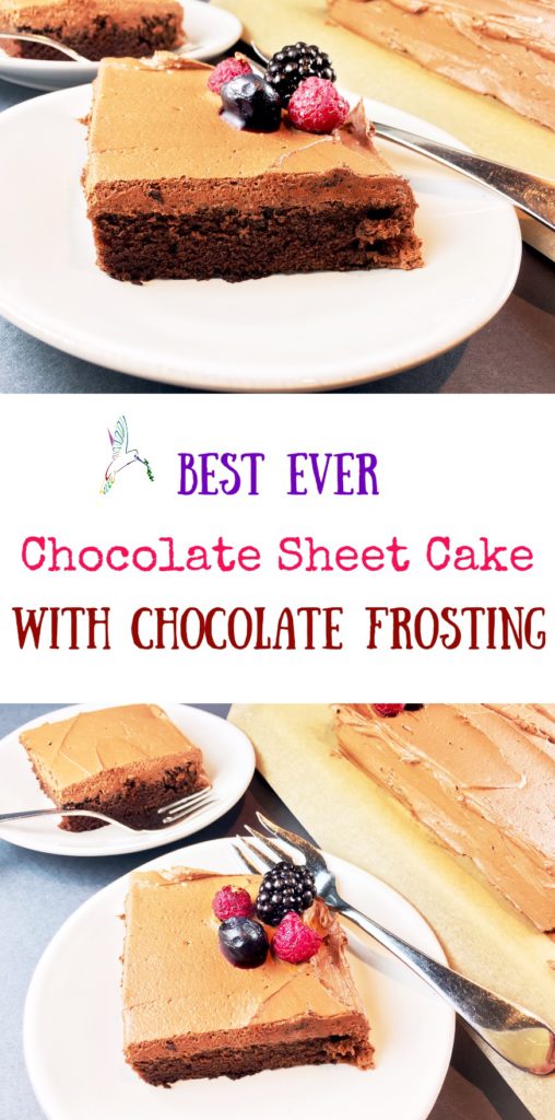 Best Chocolate Sheet Cake with Chocolate Frosting
