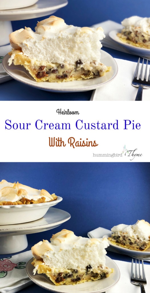 Sour Cream Custard Pie with Raisins