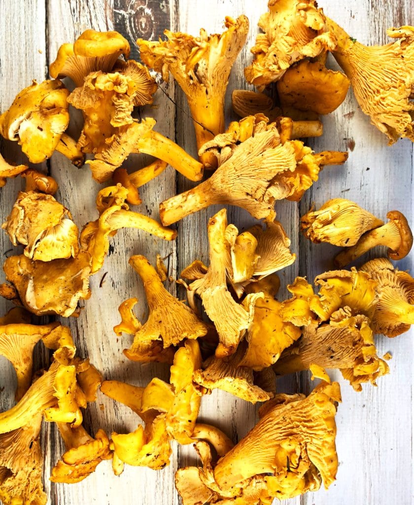 Chantarelle Mushrooms