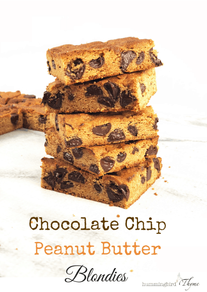 Chocolate Chip Peanut Butter Blondies