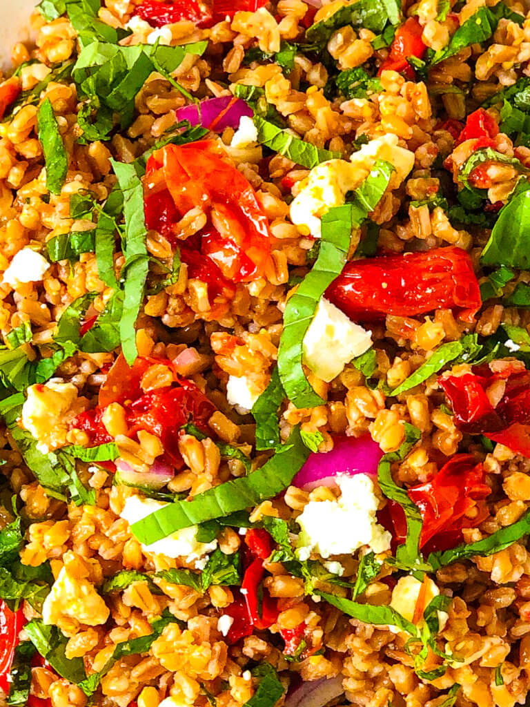 Closeup overhead view of Farro Tomato Salad with shredded basil and mint with feta cheese scattered over the top