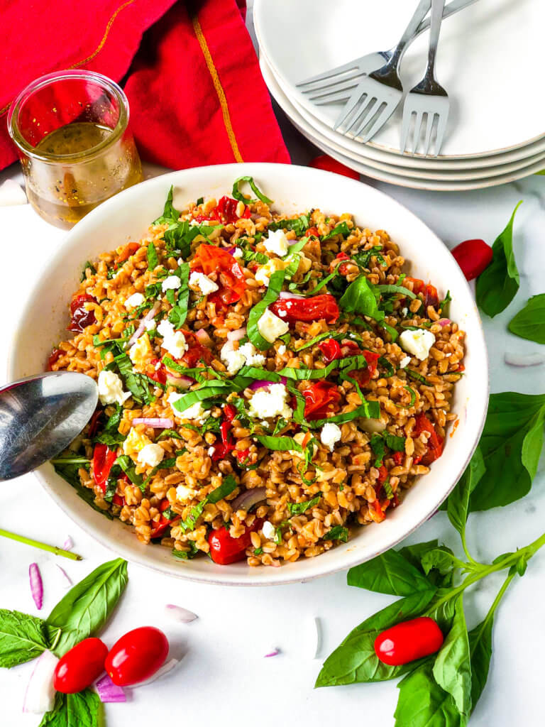 45-degree angle shot of a big bowl of farro roasted tomato salad with shreds of mint and basil with little slices of red onion. Plates and forks in background. Scattered herbs and cherry tomatoes over white background.