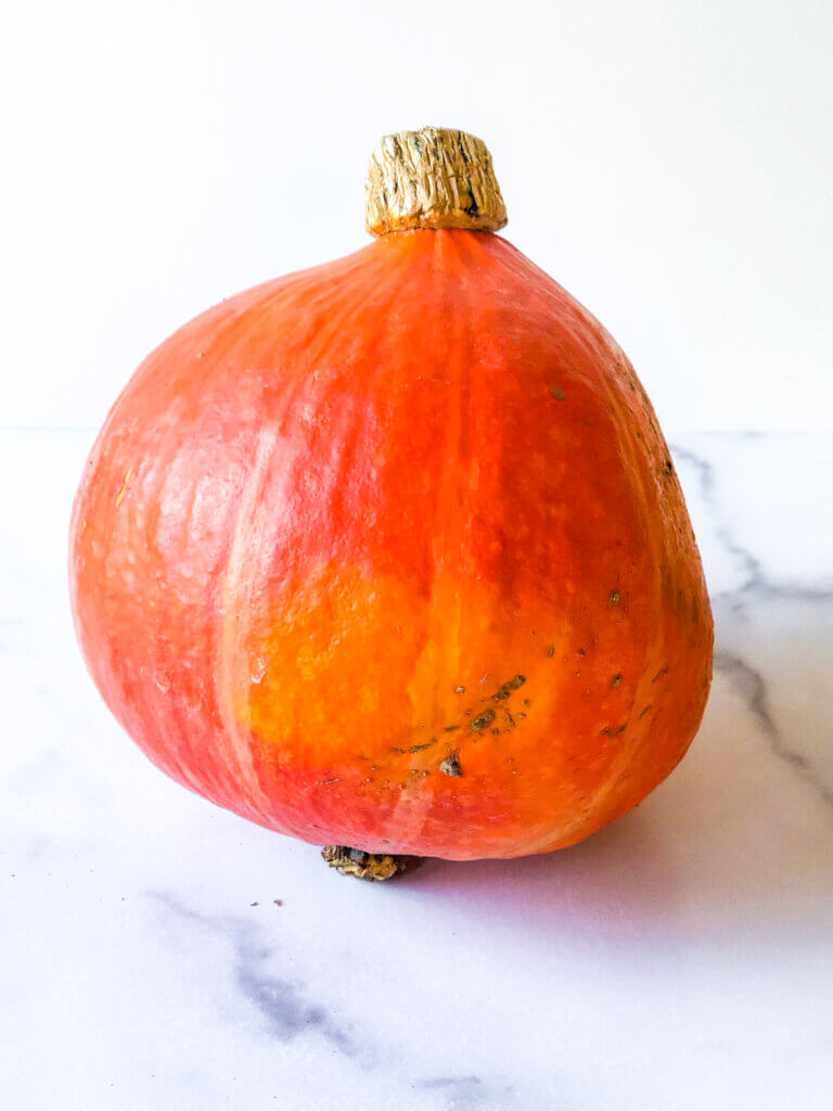 Photo of Red Kuri Squash against white bakground