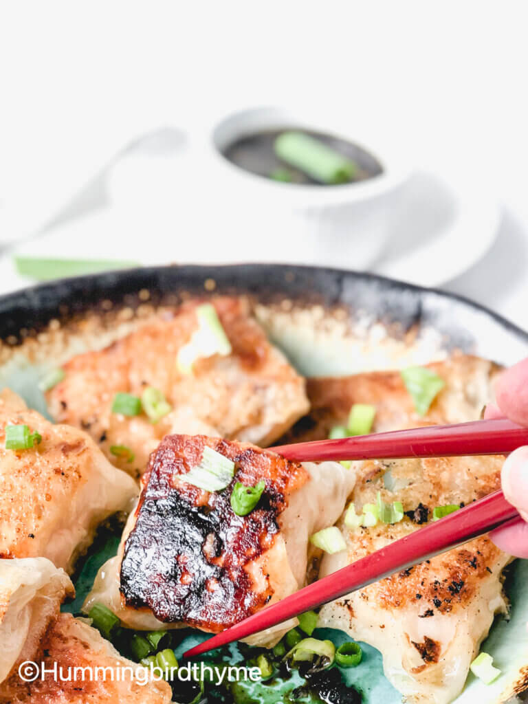 Salmon Rice Air Fryer Dumplings — All Types Of Bowls